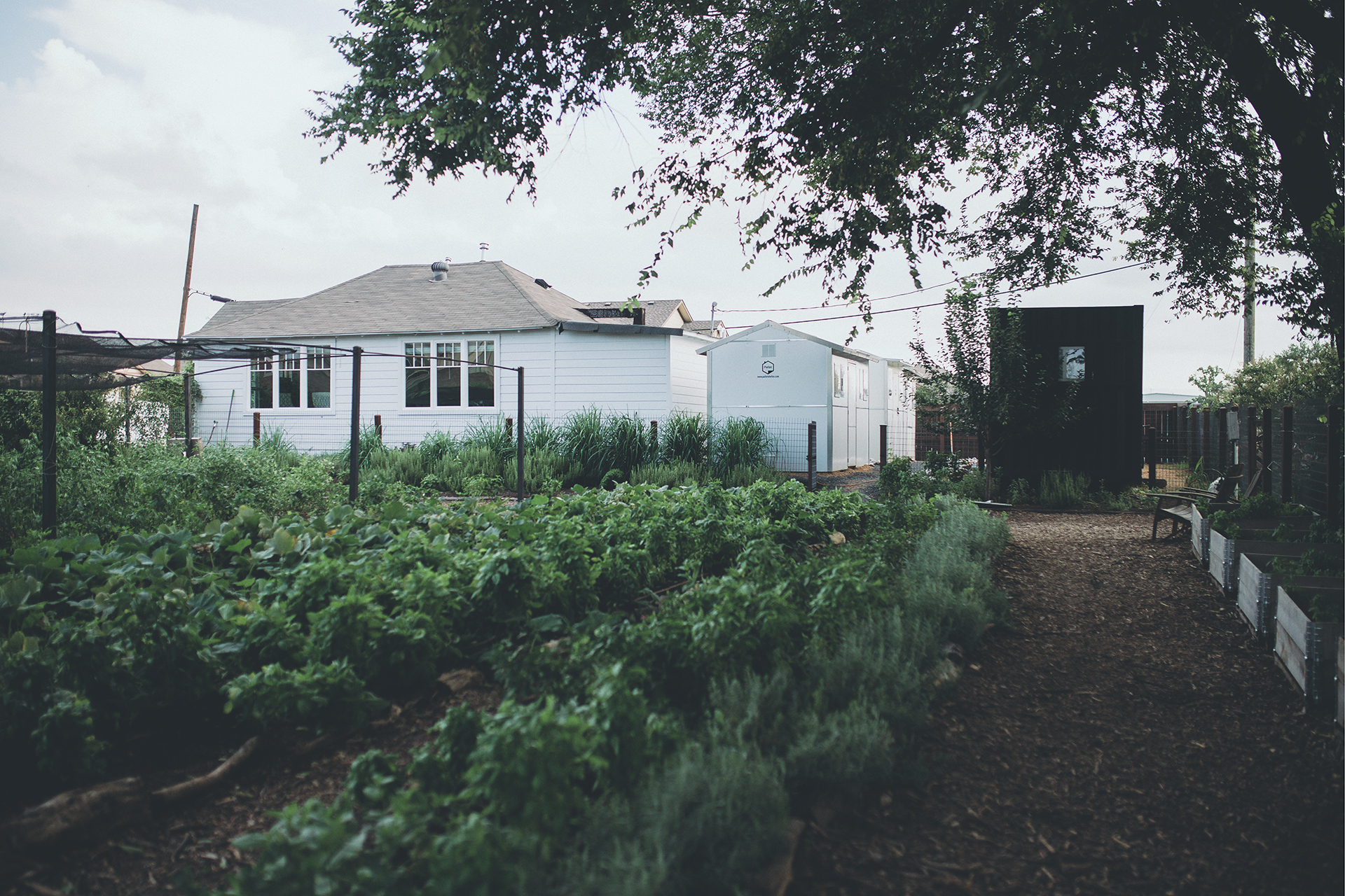 Pallet shelters built next to farm crops.